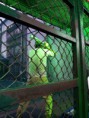 /album/korea/a20140525-191535-%eb%b3%b5%ec%82%ac%eb%b3%b8-jpg/